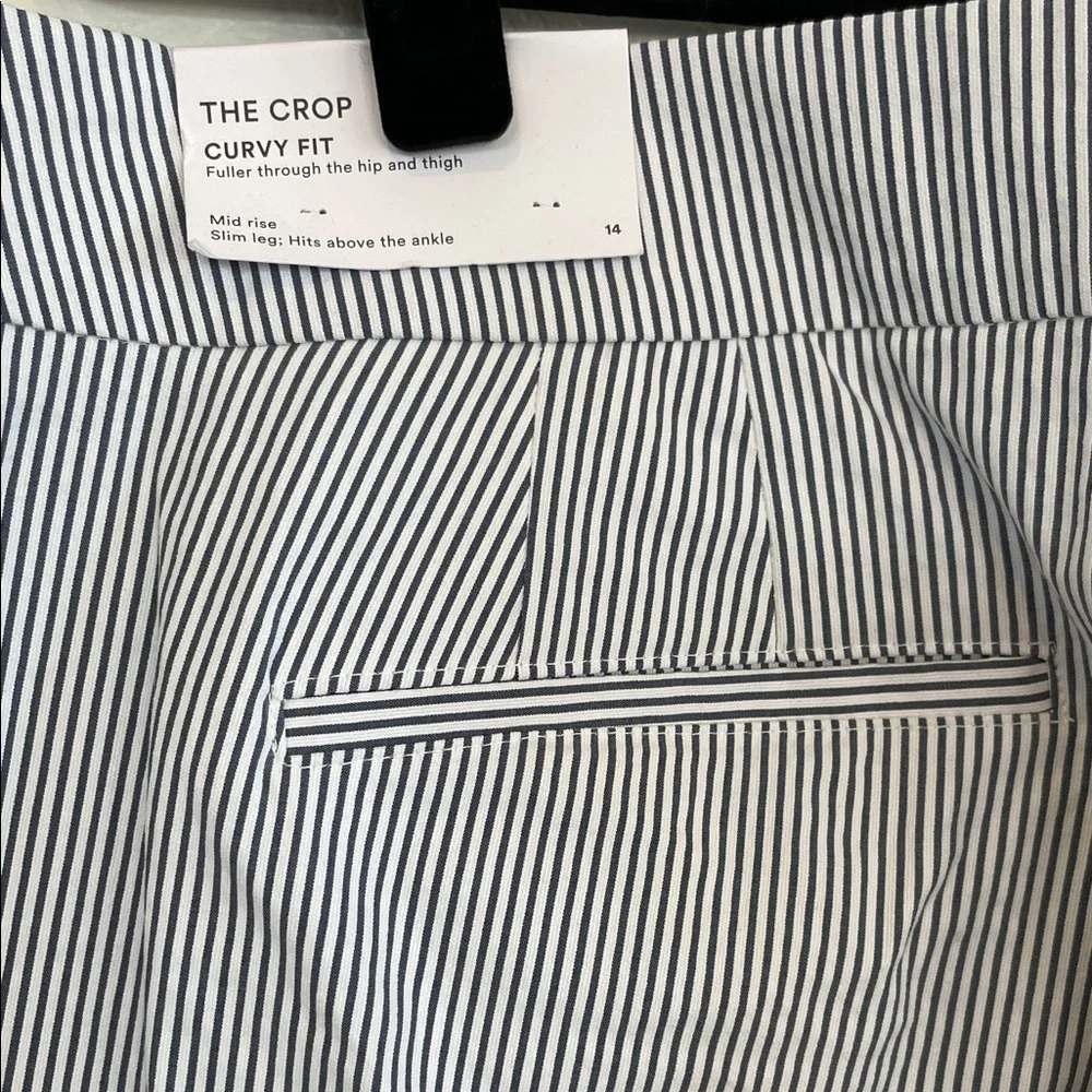 NWT Ann Taylor Blue and White Striped Cropped Pants